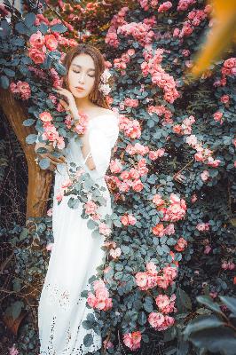 甄嬛传电视剧全集完整版