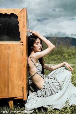 俄罗斯引擎YANDEX进入