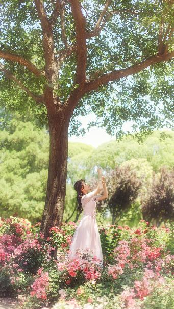 陆贞传奇电视剧在线观看免费全集