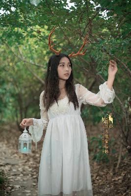 挣扎吧亚当君在线观看免费全集