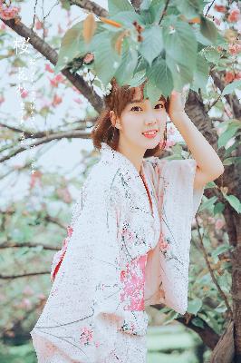 你是我的荣耀 电视剧