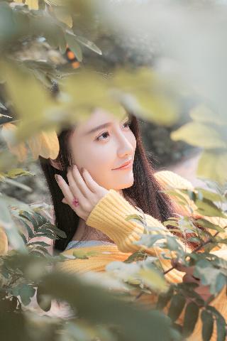 炽道电视剧全集免费观看