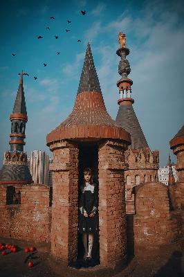 以家人之名电视剧全集免费观看