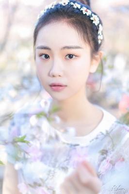 知否知否应是绿肥红瘦全集