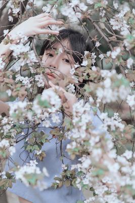 熊出没之神奇宝物