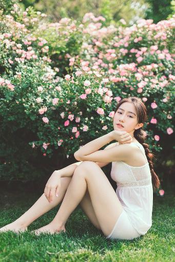 喜羊羊与灰太狼