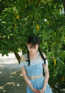 树影迷宫电视剧免费播放