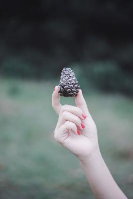 成品免费PPt网站入口