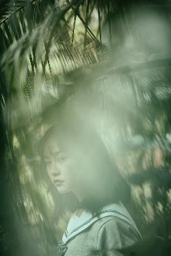 新奥天天彩最精准大全