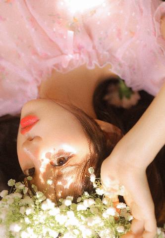 城中之城电视剧免费观看全集