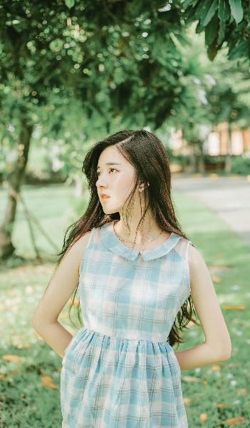 征服电视剧免费观看全集