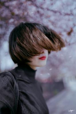 野兽们的战争在线观看免费版