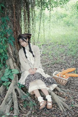 延禧攻略电视剧全集免费完整版