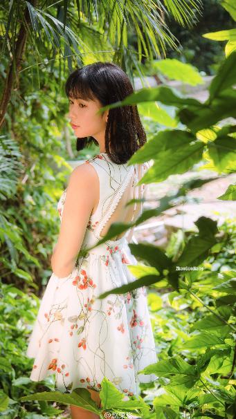 美国姑娘免费观看电视连续剧