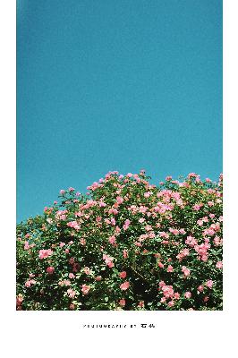 么么哒影院电视剧在线观看