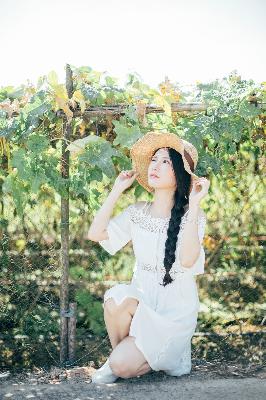 正阳门下电视剧全集免费观看