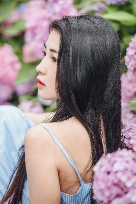 雪豹电视剧全集免费观看完整版