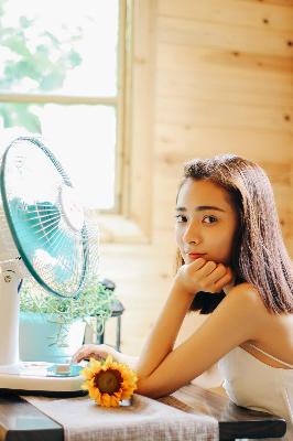 欧美电影免费观看完整版在线观看熊出没