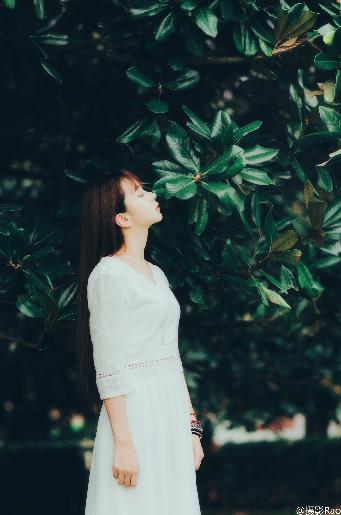 星空影院电视剧免费播放