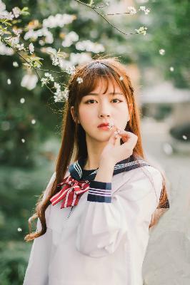 生逢灿烂的日子电视剧免费观看