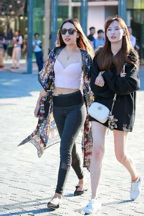 国产免费观看高清电视剧大全