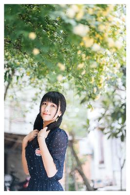 我的兄弟叫顺溜电视剧全集免费观看