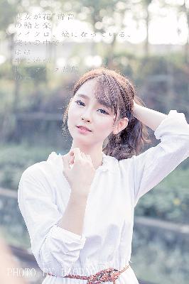 巡回检察组免费观看全集完整版