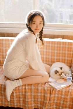 疯狂动物城2 电影