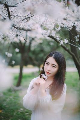 凡人修仙传动漫