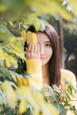 窝窝爱影视免费观看电视剧