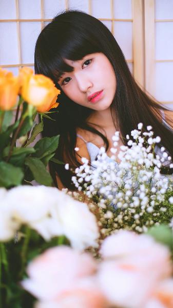 高清在线观看免费播放电视剧