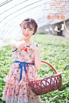 似锦电视剧免费观看完整版高清