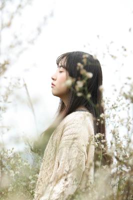 香蜜沉沉烬如霜