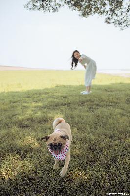 点燃我温暖你电视剧免费观看