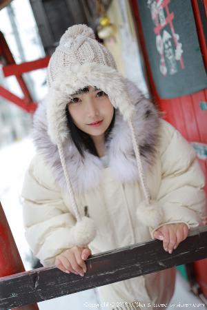 喜羊羊与灰太狼