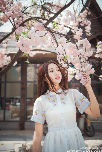 满宫春第二部40集免费观看剧情