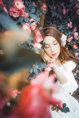 一笑随歌 电视剧