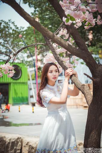 免费大片观看视频网站