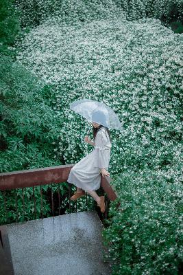 斗破苍穹年番动漫