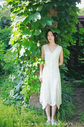 长月烬明电视剧免费观看完整版