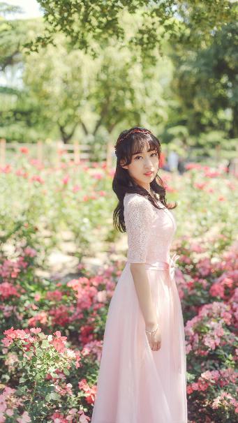 楚乔传电视剧免费观看全集