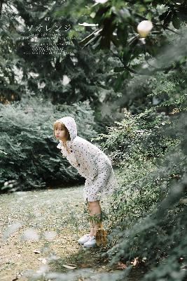 莲花楼电视剧免费观看完整版