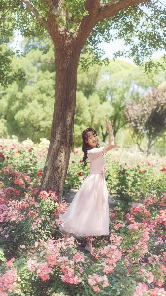 定风波电视剧免费观看全集高清