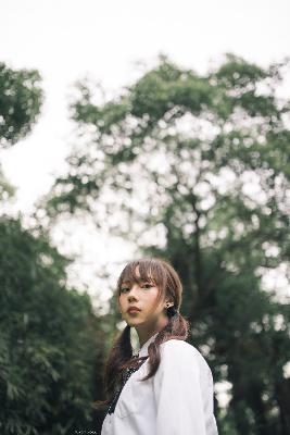 锦绣芳华 电视剧