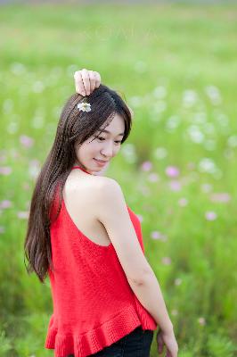 桔子在线观看免费高清电视剧完整版